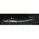 gobioides broussonetti (dragon fish) 12-15cm