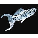 poecilia latipinna - mollienesia velifera dalmation lyretail 4-5cm