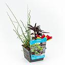 mix mand 3 waterplanten