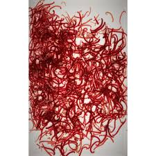 [5028] vers de vase rood/rouge large 100ml blister