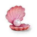 eden shell 6.8×7×7cm