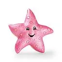eden starfish 7.5×7.8×1.8cm