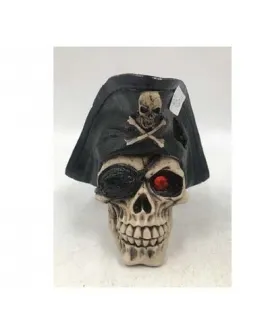 skull 13.5x12x12.5