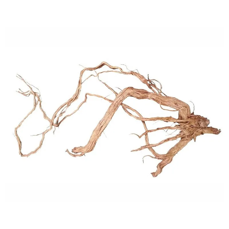 azalea wood 50-70cm pst