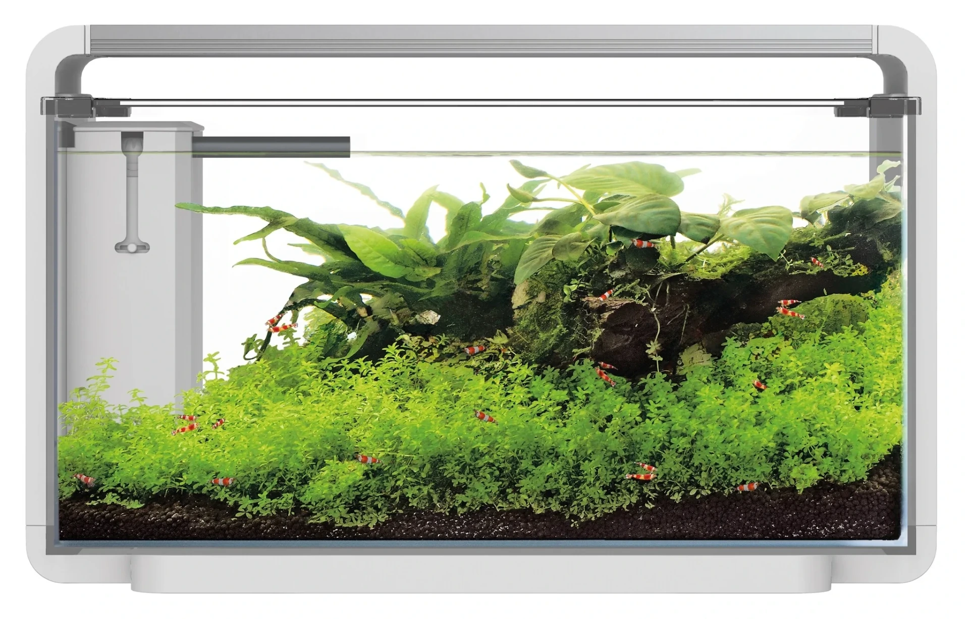 superfish home proled 85 aquarium wit