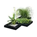 pond floating plantbasket black 24x24cm