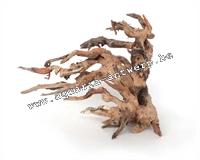 bonsai kirin aquascape wood 16x10x22cm