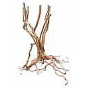 wood stump 40-55cm /kg