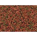 prodac biogran medium bulk /100g foutief