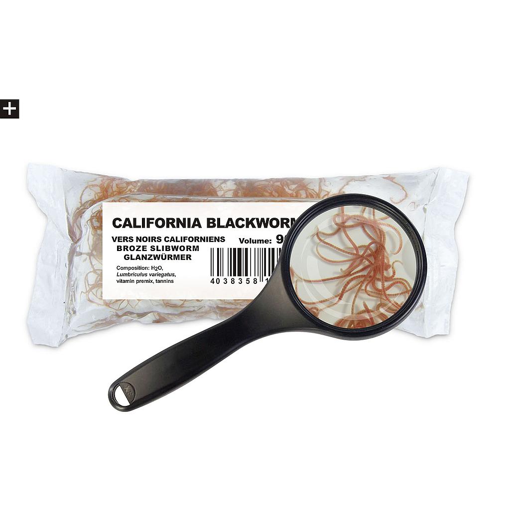 lumbriculus black worm levend/vivant 90ml