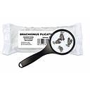 rotifer brachionus plicatilis levend/vivant 90ml