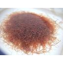 tubifex levend/vivant 90ml