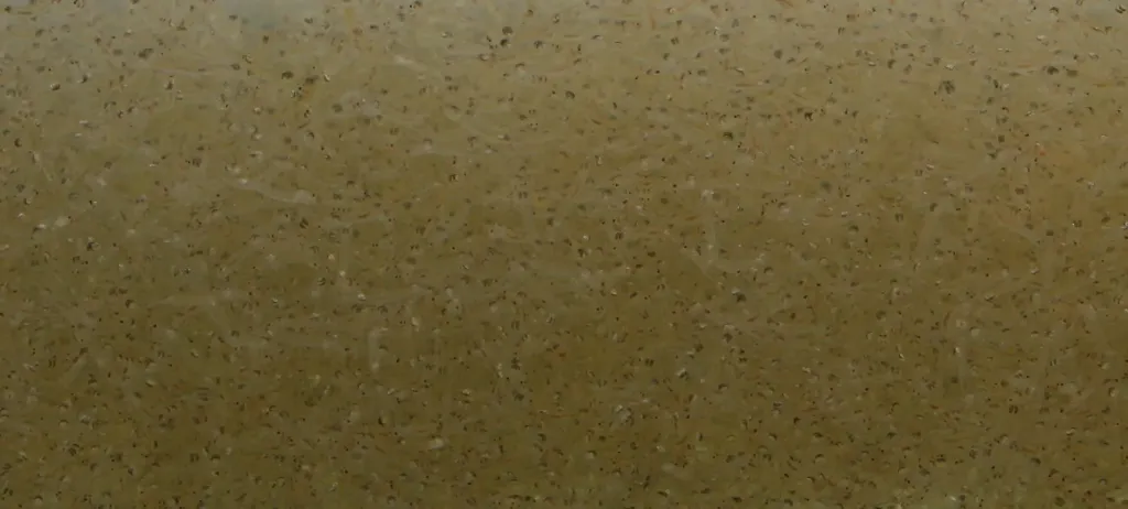 vers de vase wit/blanc levend/vivant 250g