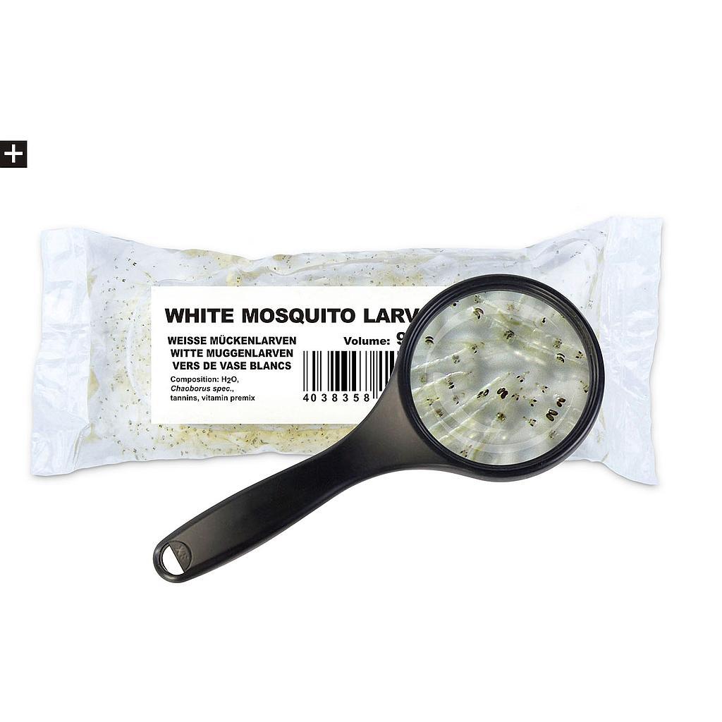 vers de vase wit/blanc levend/vivant 90ml