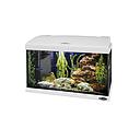 ferplast/hydor aquarium capri 50 white, NEW adjustable leds