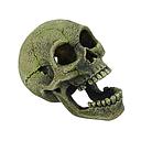 deco skull 180x135x145mm