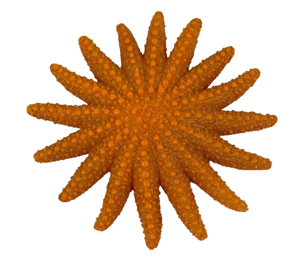deco star fish orange 9cm
