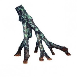 mangrove root 29x13x25cm