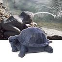 oase waterspuwer schildpad