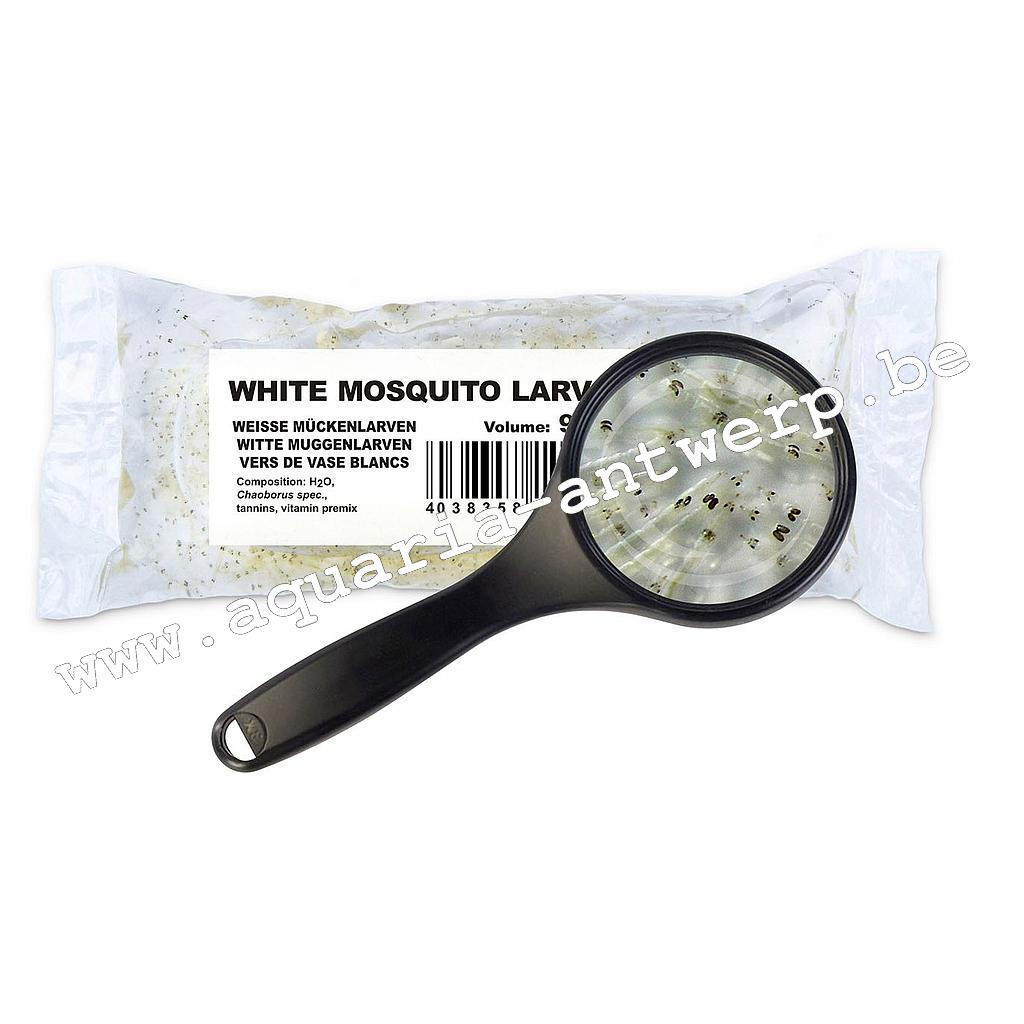 vers de vase wit/blanc levend/vivant 90ml Aquaria